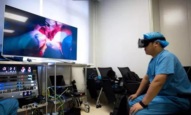 Application of VR in human anatomy