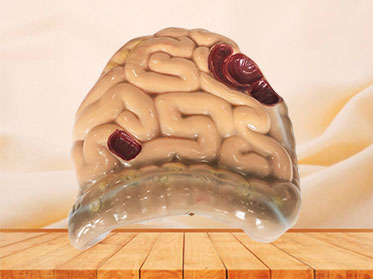 soft silicone large and small intestine model for sale