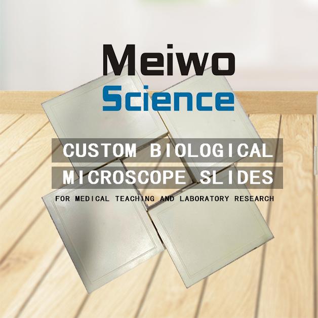 Zhengzhou MeiWo Science & Technology Co.,Ltd.