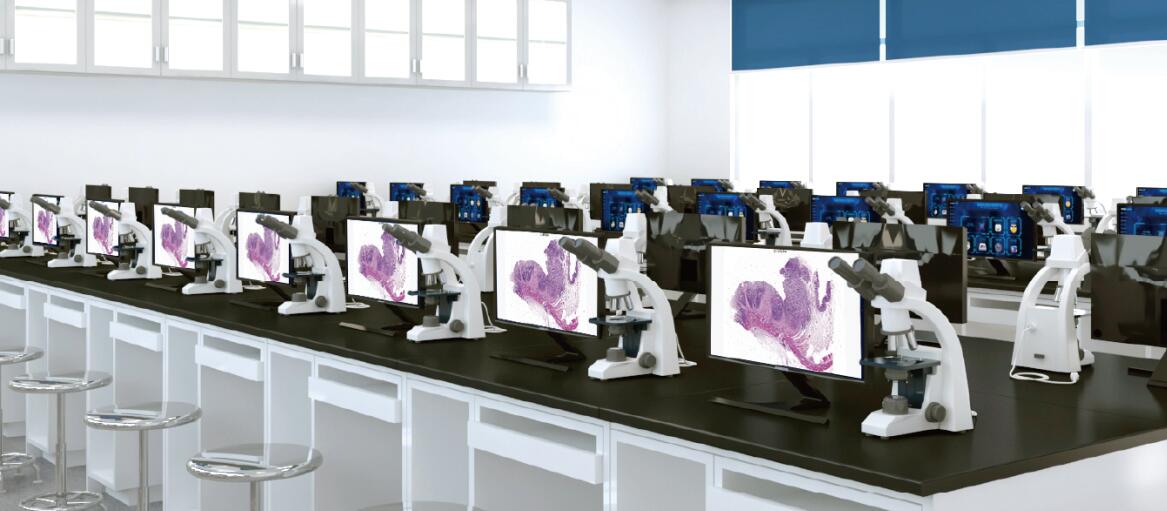 Medical Morphology Teaching System