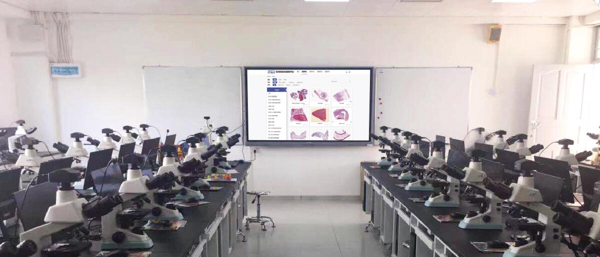 Medical Morphology System