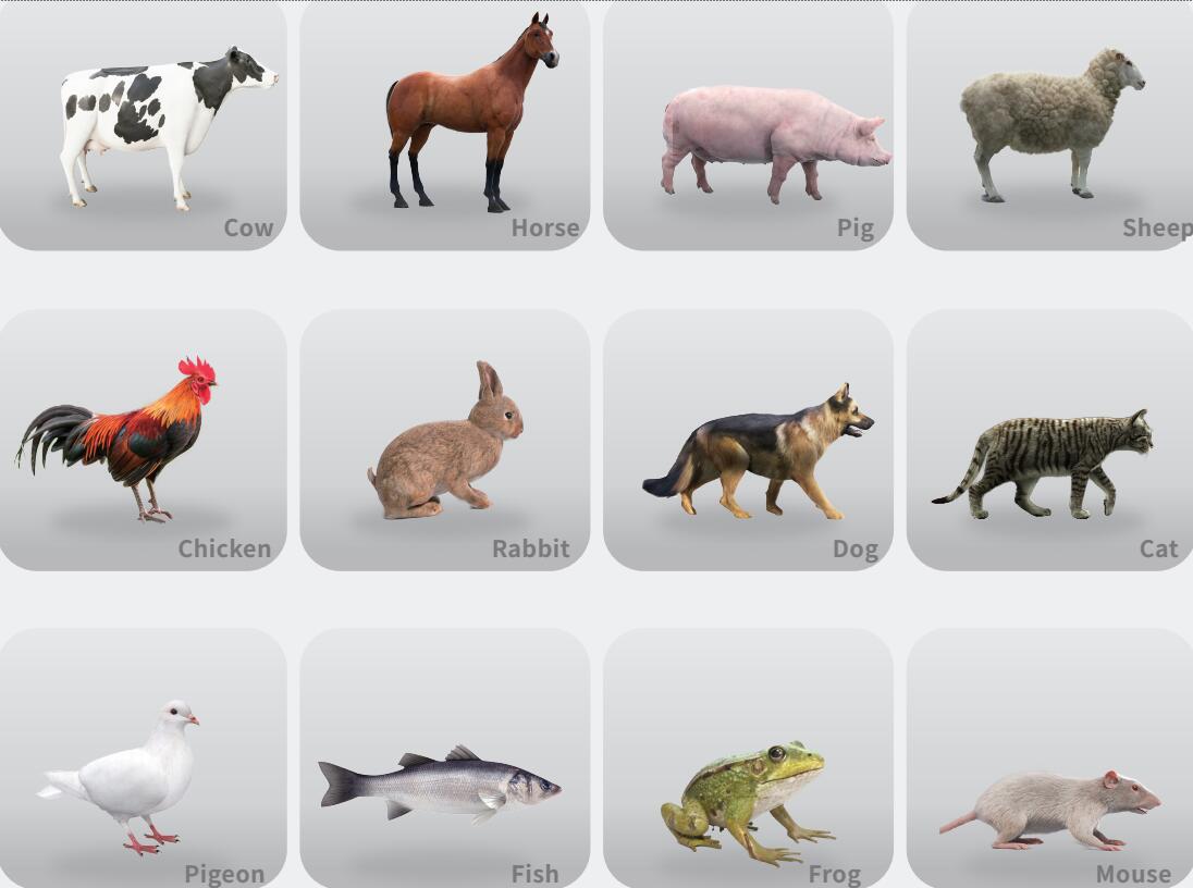 Twelve animals