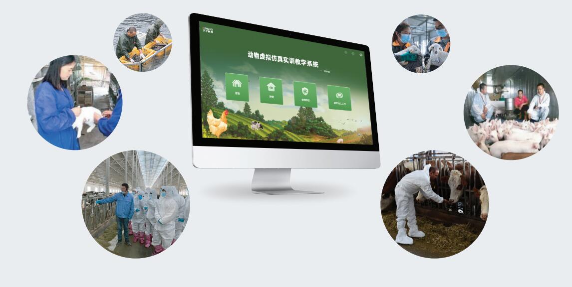 Zhengzhou MeiWo Science & Technology Co.,Ltd.