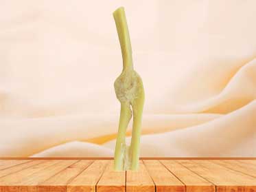 Elbow joint for sale