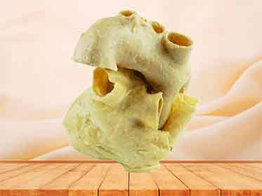 Human Pericardium