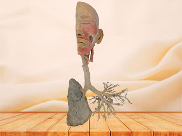 Overview of the respiratory system