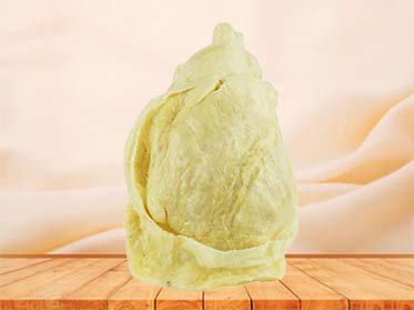 Pericardium medical specimen