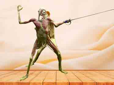 fencing people plastination
