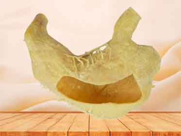 internal structure of stomach