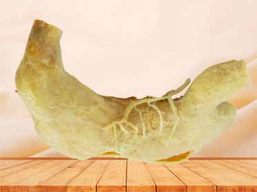 internal structure of stomach for sale