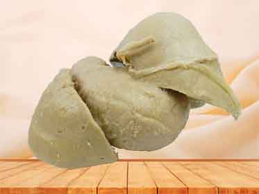 plastinated human organs