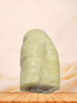 Horizontal section of penis plastinated specimen