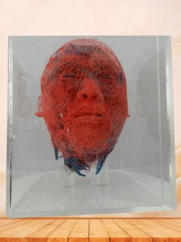 Blood vessels of head and neck casting specimen