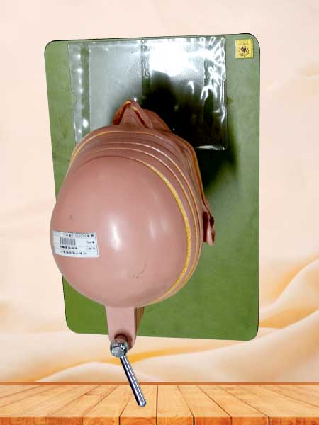 head and neck section model