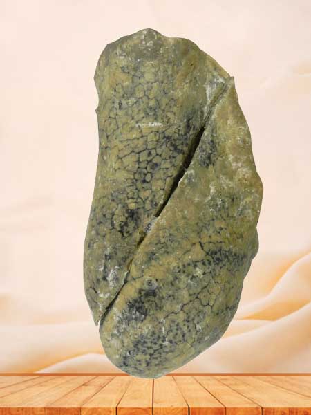 L-lung specimen for sale