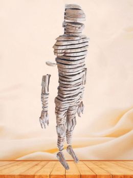 Horizontal Slices of Human Whole Body Plastinated Specimen