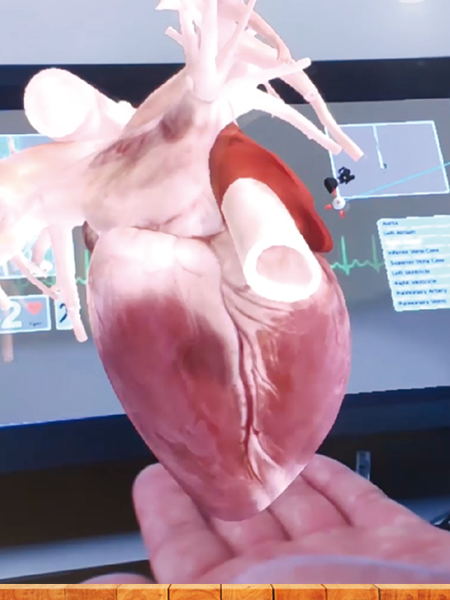 3d anatomy software