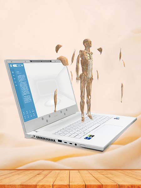 MR Human Anatomy Software