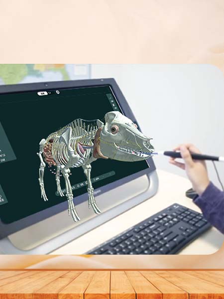 MR animal anatomy 3D enhanced interactive system for sale