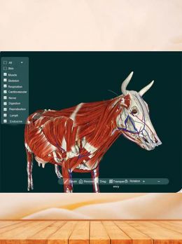 Animal Anatomy Software