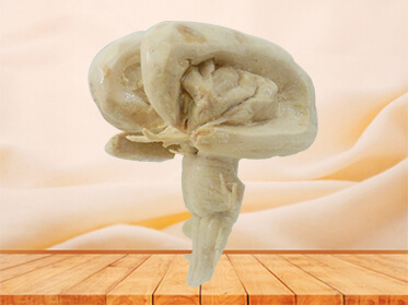 Zhengzhou MeiWo Science & Technology Co.,Ltd.