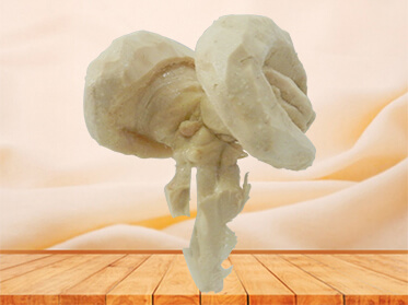 Zhengzhou MeiWo Science & Technology Co.,Ltd.