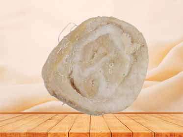 Cross section of central penis