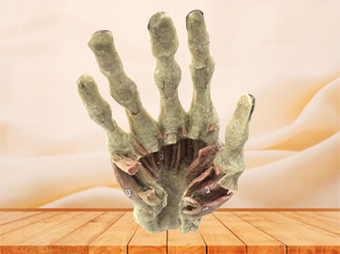 Deep muscles of hand