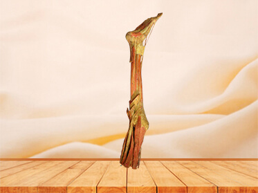 Deep muscles of lower limb
