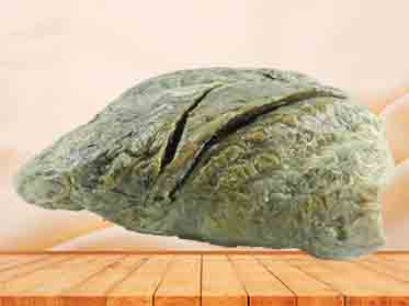 Double lungs plastination