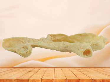 Gastric mucosa specimen for sale