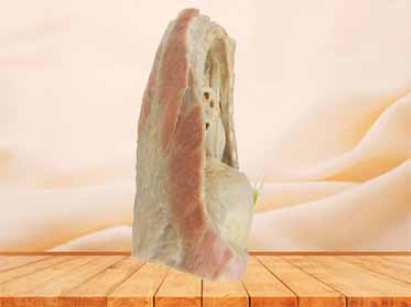 Mediastinum plastination