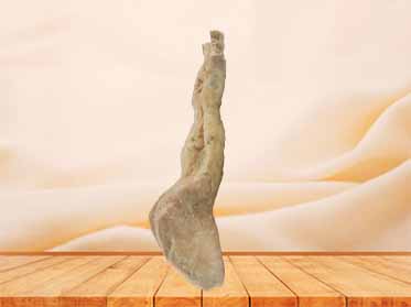 Rectum and anal canal