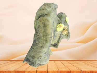Root of the lung plastinated specimen