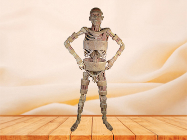 cascading people plastination