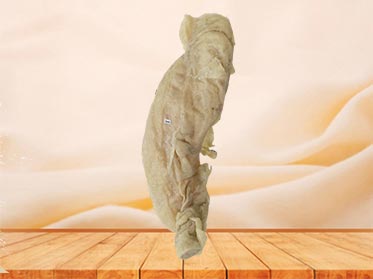 colon plastinated specimen