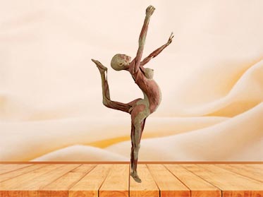 dance lady specimen