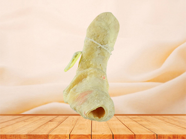 human specimen