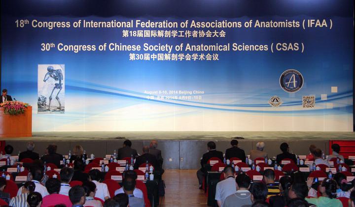 international federation of associations of anatomists