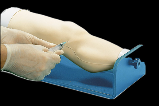 human knee joint medical teaching model