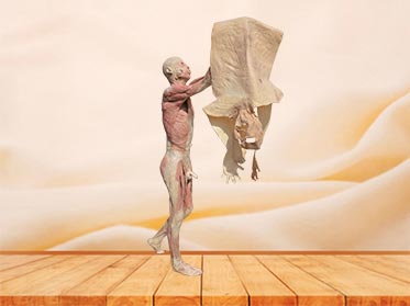 leadership plastination