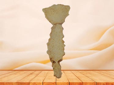 Sternum bone plastinated specimen