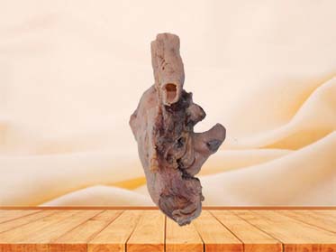 Malignant Pleural Mesothelioma Model
