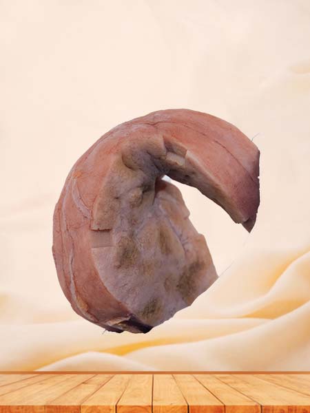 Soft Simulated Hepatic Vascular Endothelial Cell Sarcoma Silicone Model