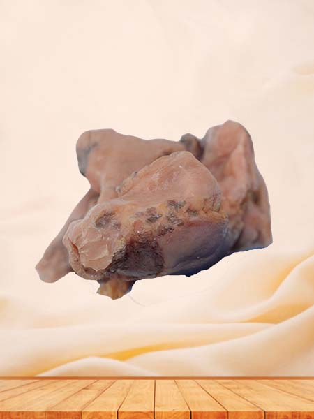 Soft Simulated Malignant Pleural Mesothelioma Pathology Specimen