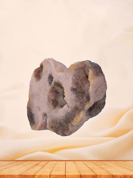 Soft Simulated Female Ovarian Cancer Model