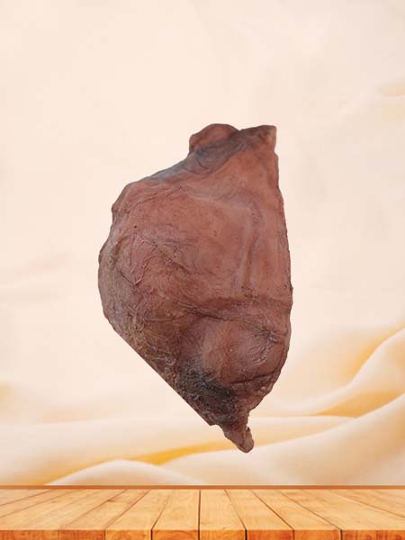 Soft Simulated Female Multiple Uterine Fibroids Anatomy Model