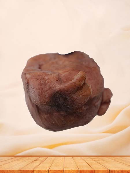 Soft Simulated Female Multiple Uterine Fibroids Anatomy Model